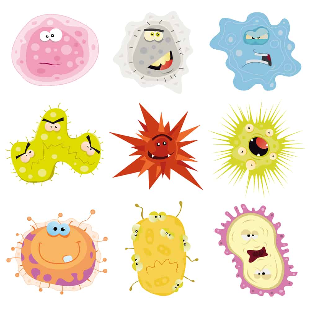 Gut Microbes