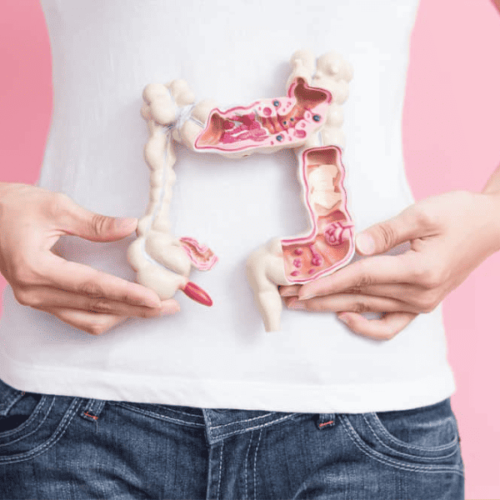 Gut Health Trends 2024