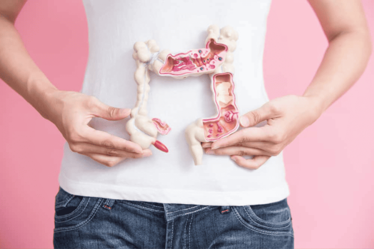 Gut Health Trends 2024